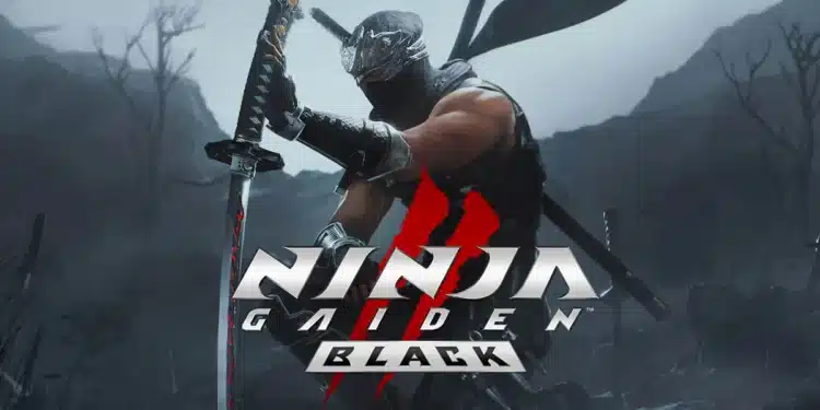 Para Gamer Kecewa! Ukuran Ninja Gaiden 2 Black di PC Tembus 85 GB, Terlalu Besar untuk Game Sejenis?